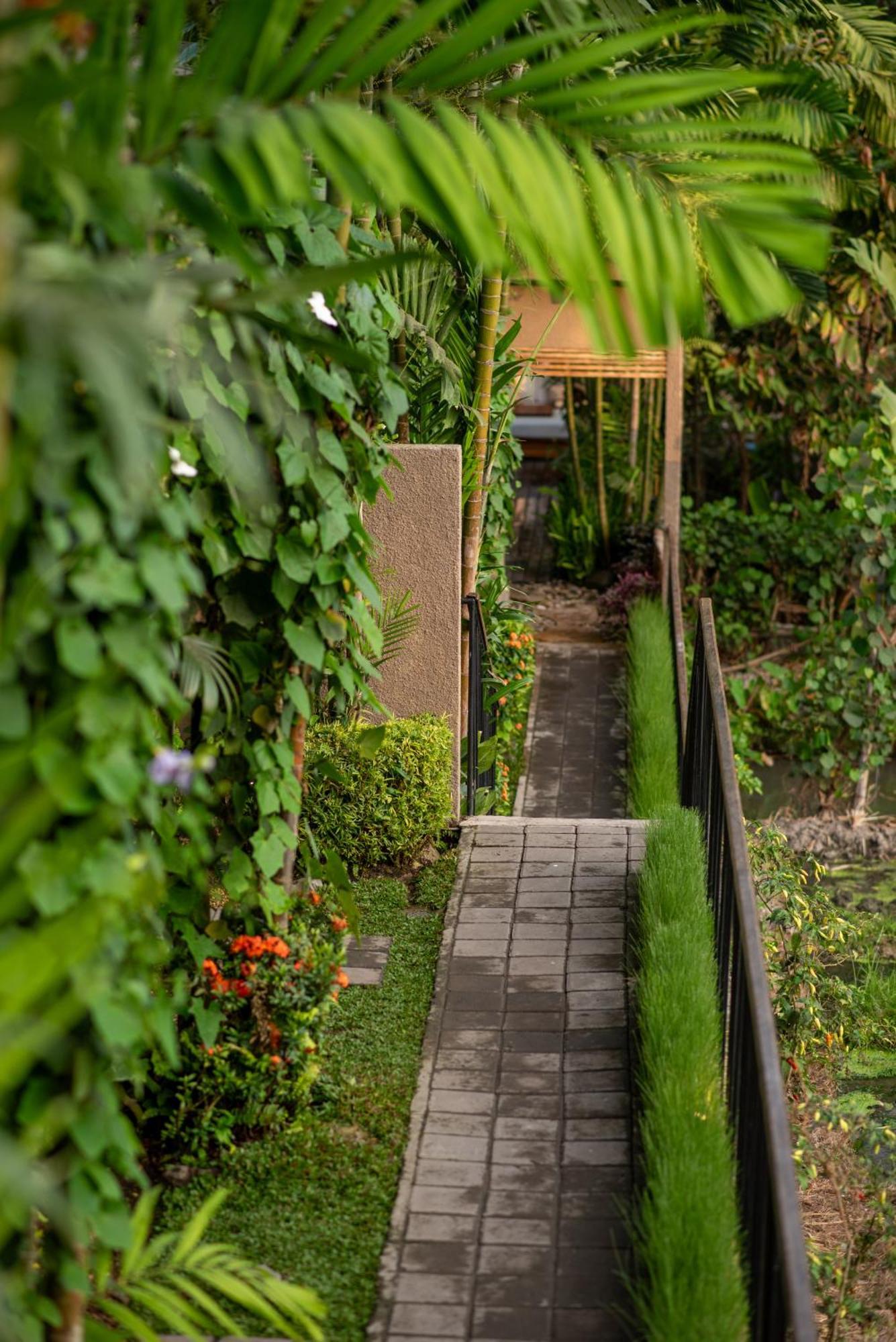 Pangkung Sari Bed And Breakfast Canggu  Luaran gambar