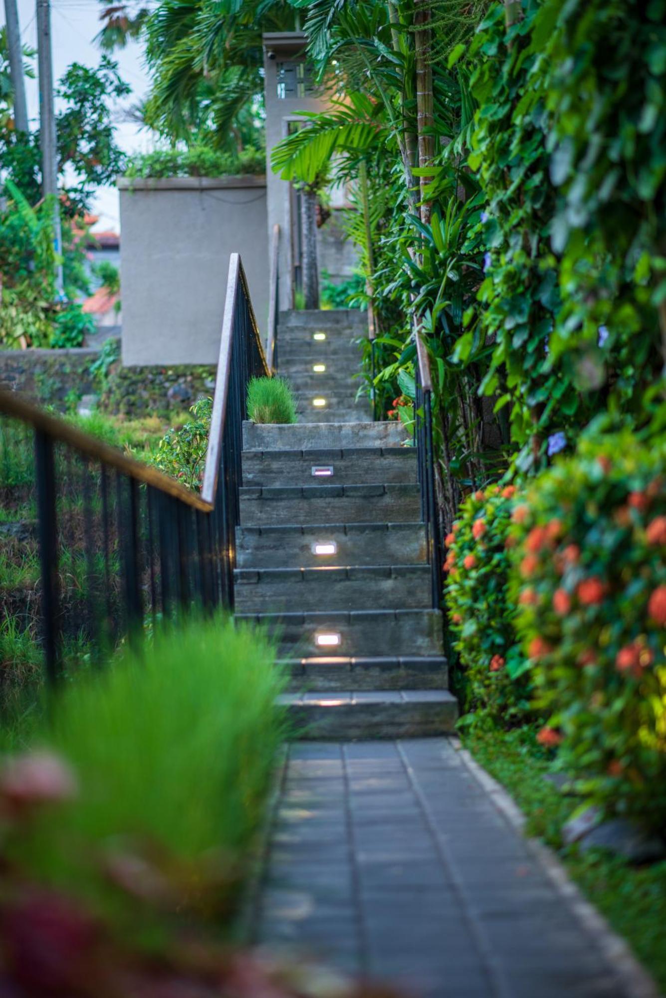 Pangkung Sari Bed And Breakfast Canggu  Luaran gambar