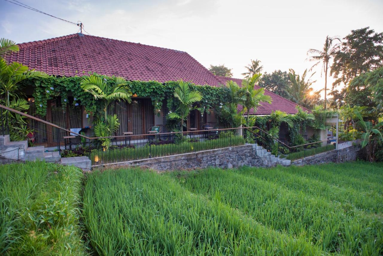 Pangkung Sari Bed And Breakfast Canggu  Luaran gambar